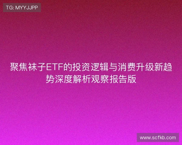 聚焦袜子ETF的投资逻辑与消费升级新趋势深度解析观察报告版